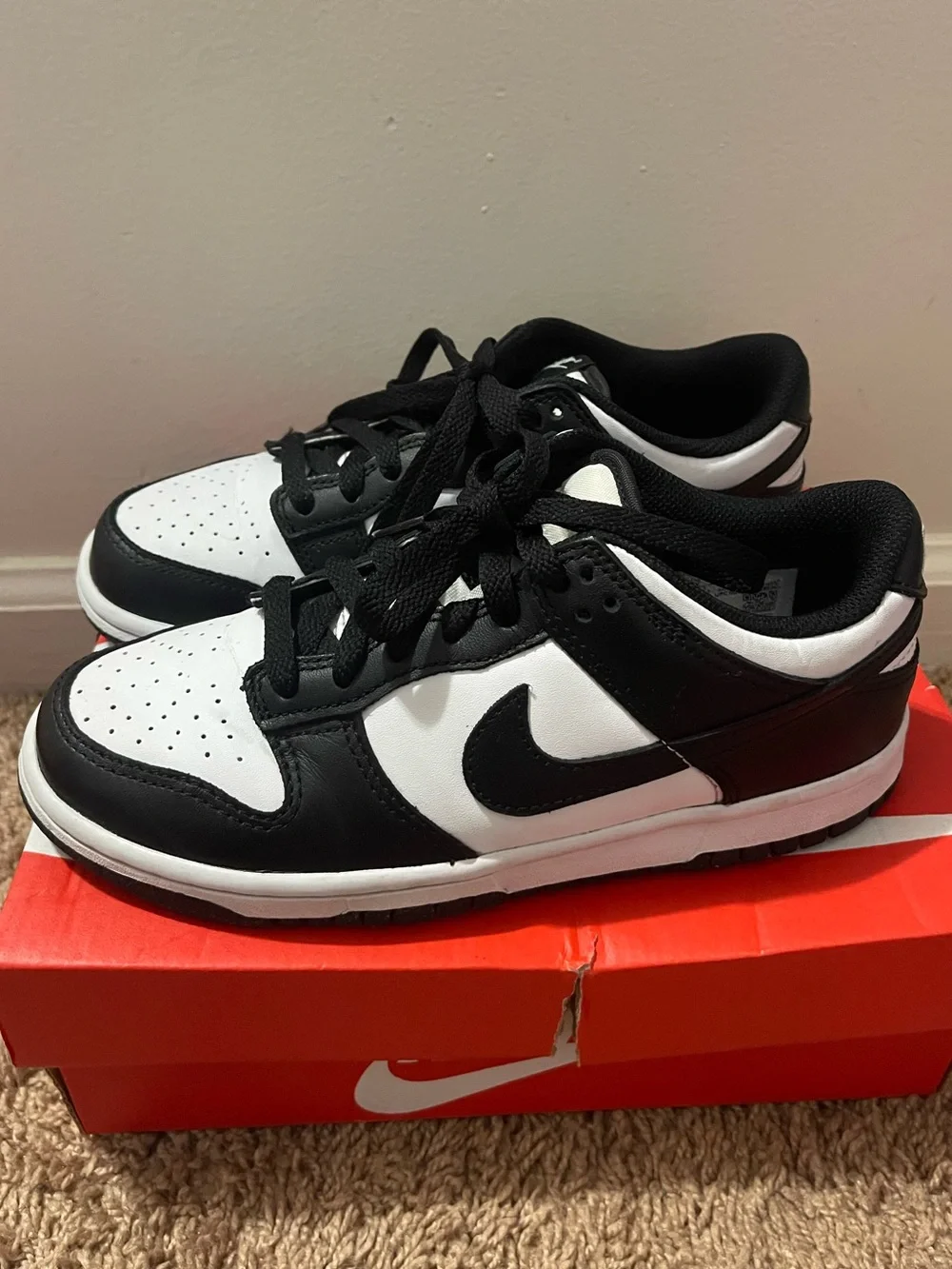 Nike Dunk